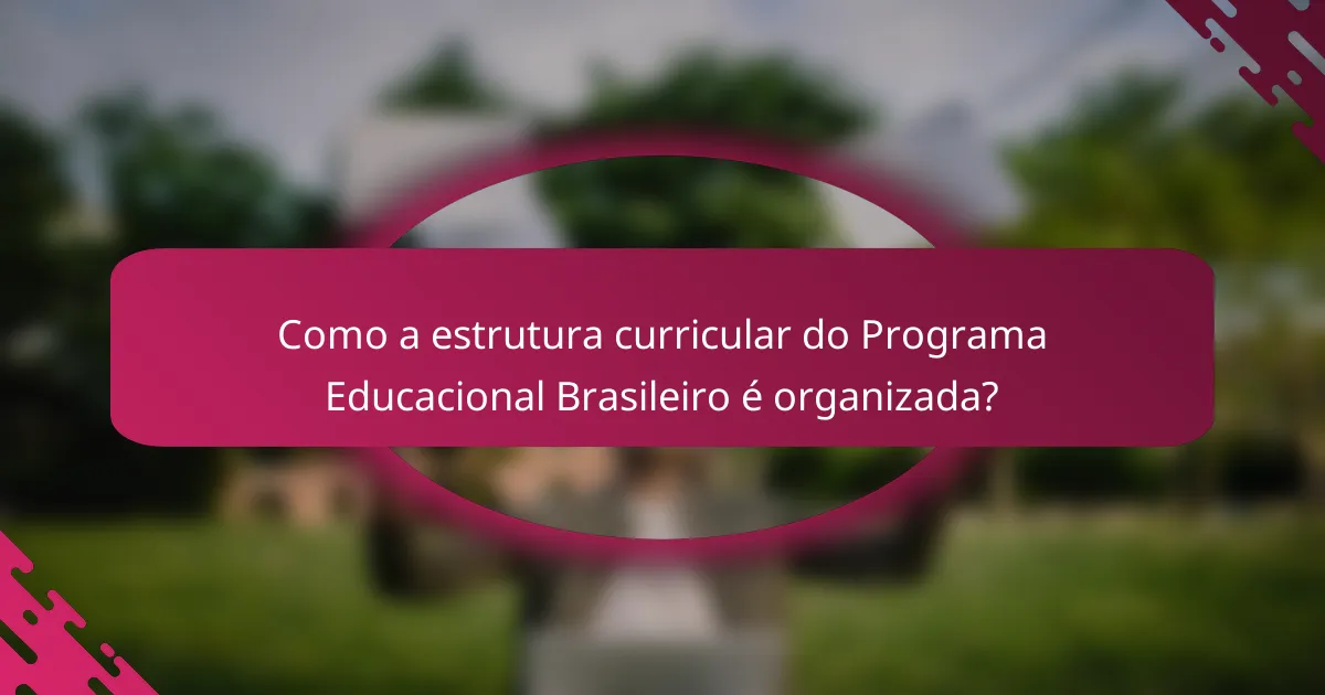 Como a estrutura curricular do Programa Educacional Brasileiro é organizada?