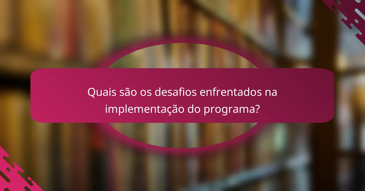 Quais são os desafios enfrentados na implementação do programa?
